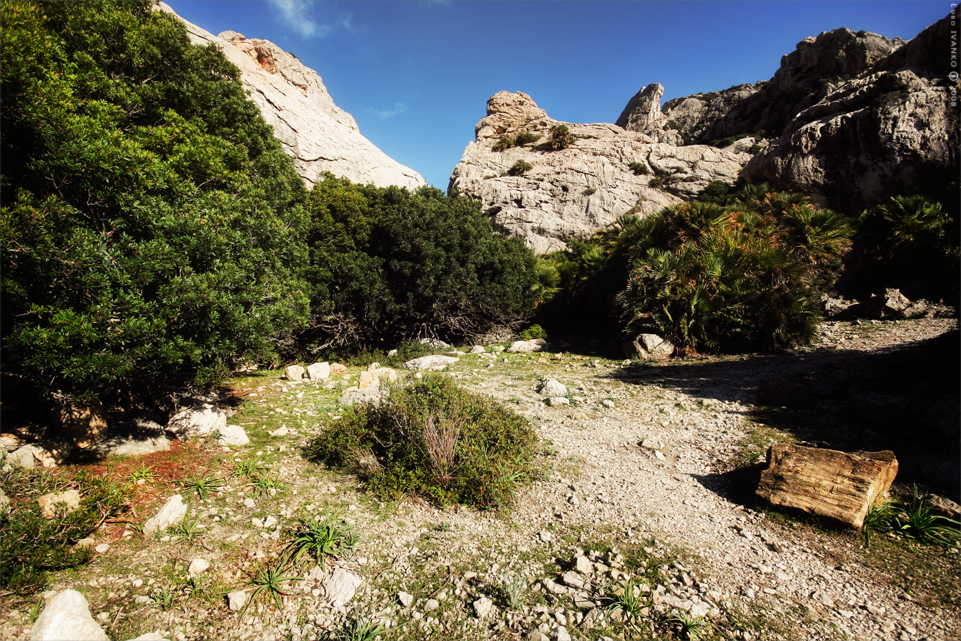 Autumn on Mallorca