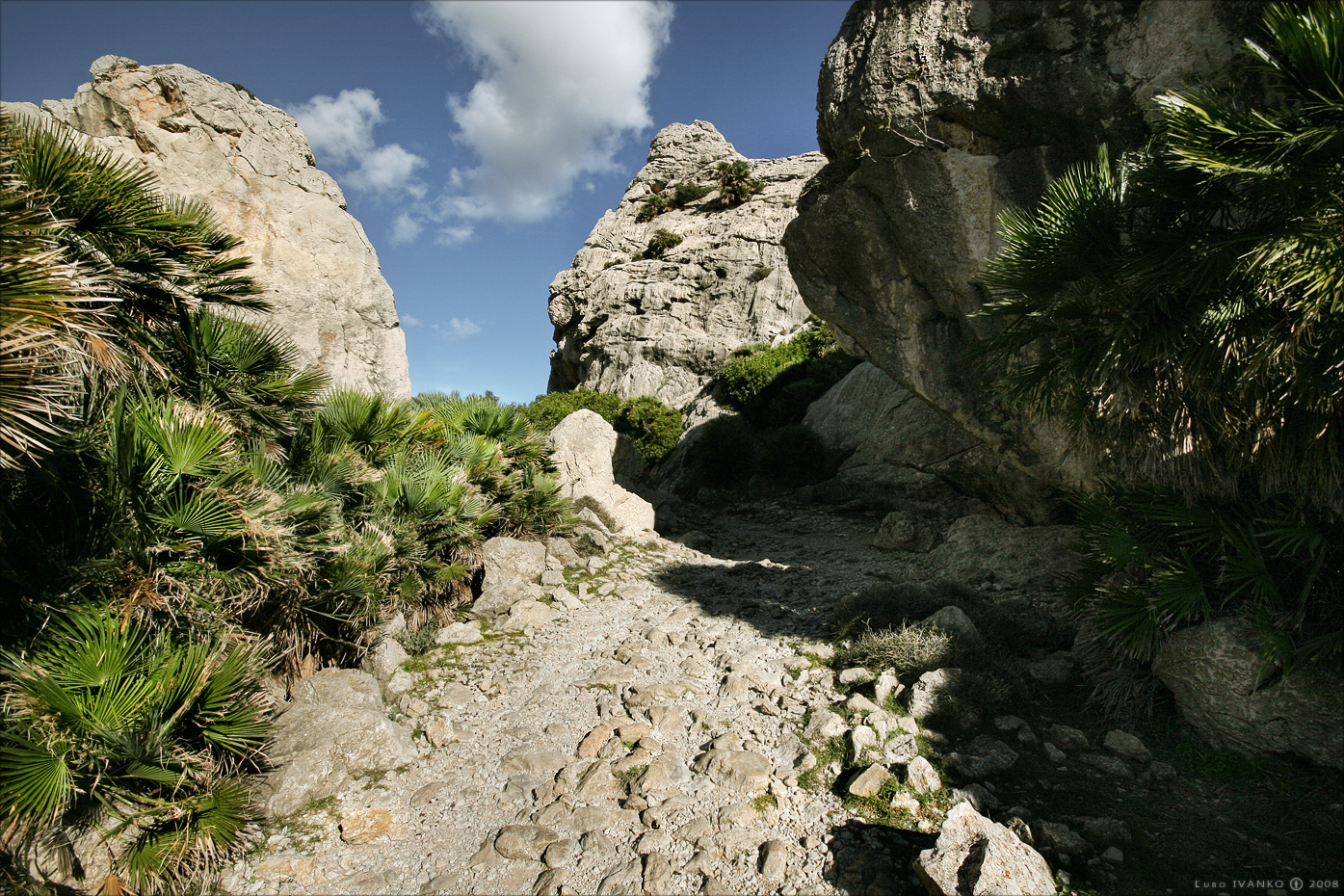 Autumn on Mallorca