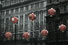 Chinese Lanterns